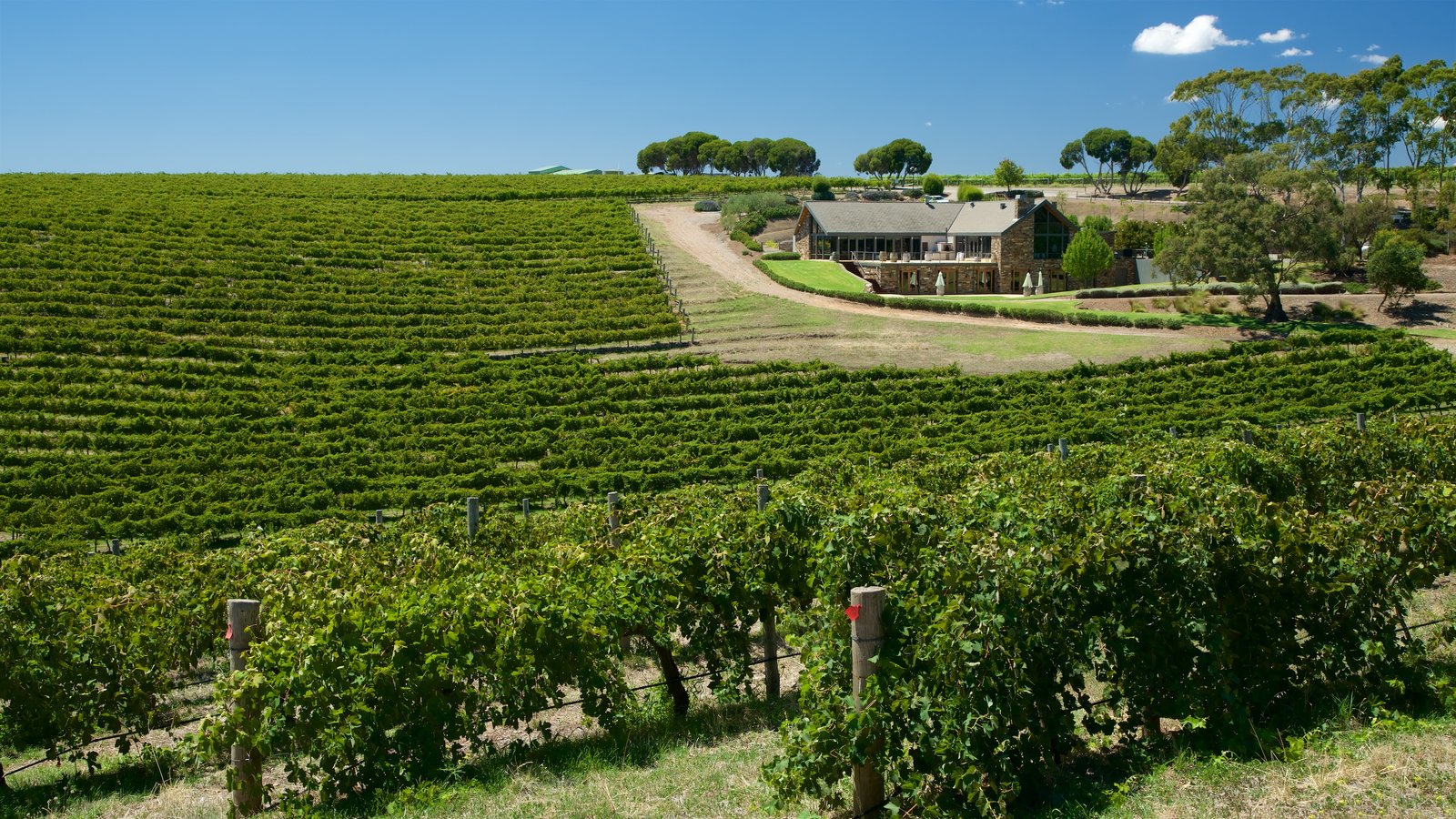 Perfect SA weekend away for wine + pasta lovers