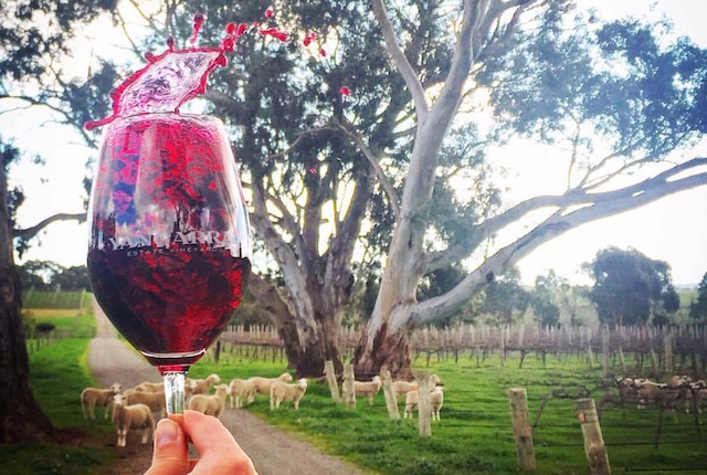 WIN TWO TICKETS TO THE YANGARRA SPRING LAMB AND WINE PARTY!!