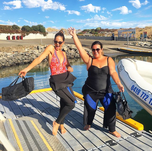 Swimming with Seals on the KI Ocean Safari