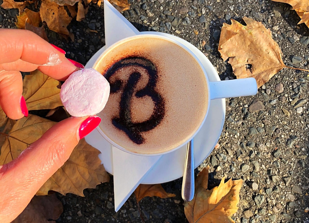 23 of the best places to get hot chocolate in Adelaide!