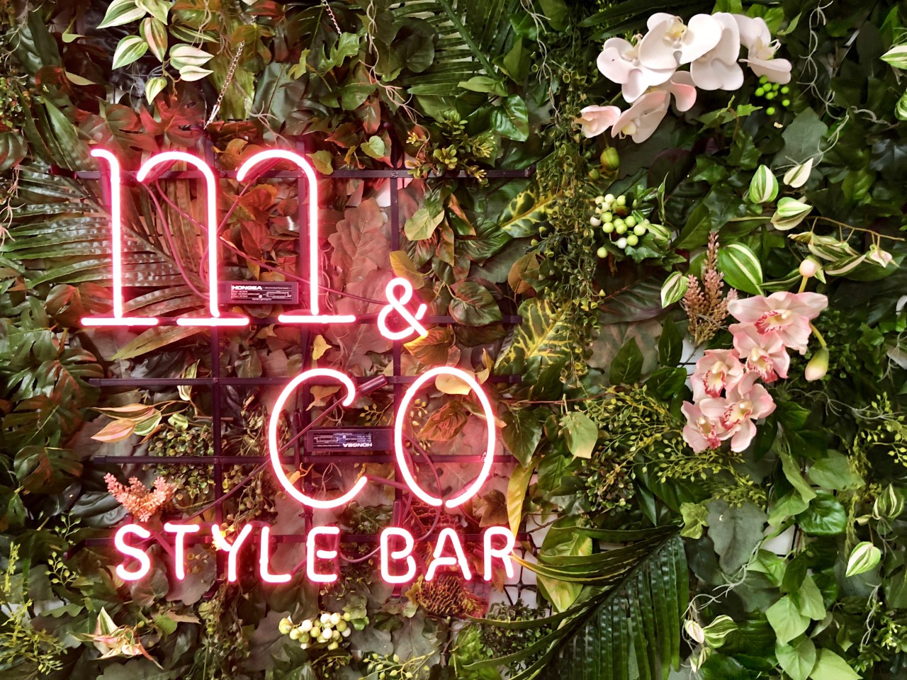 Win 2 Preened to Perfection packages at M&CO STYLE BAR!