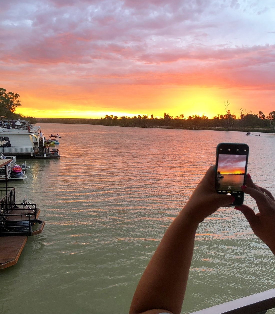 Adelady does the Riverland!