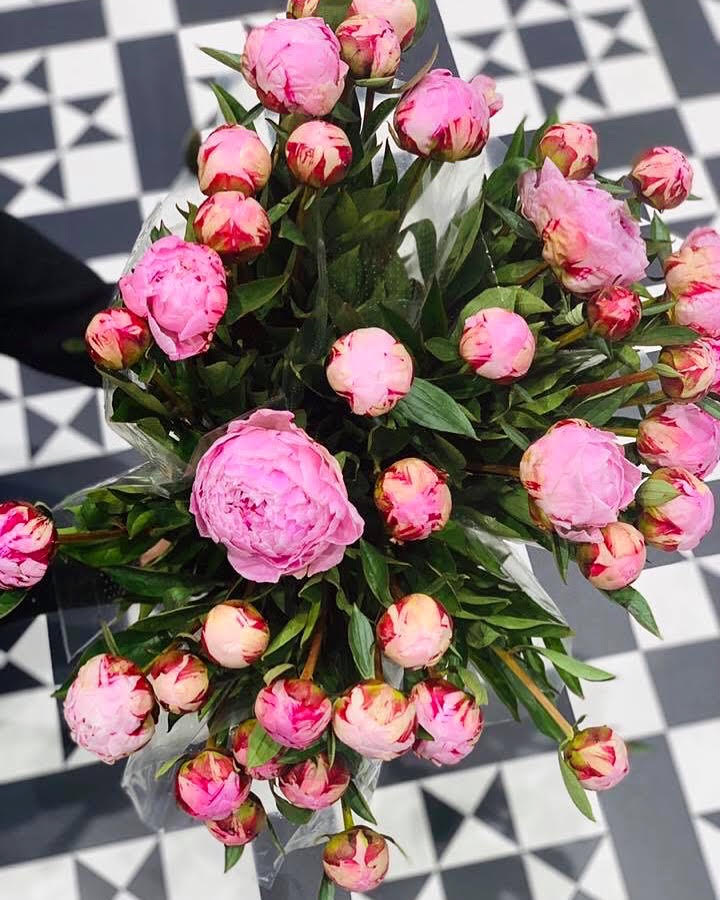 WIN two beautiful bunches of flowers thanks to romeo’s