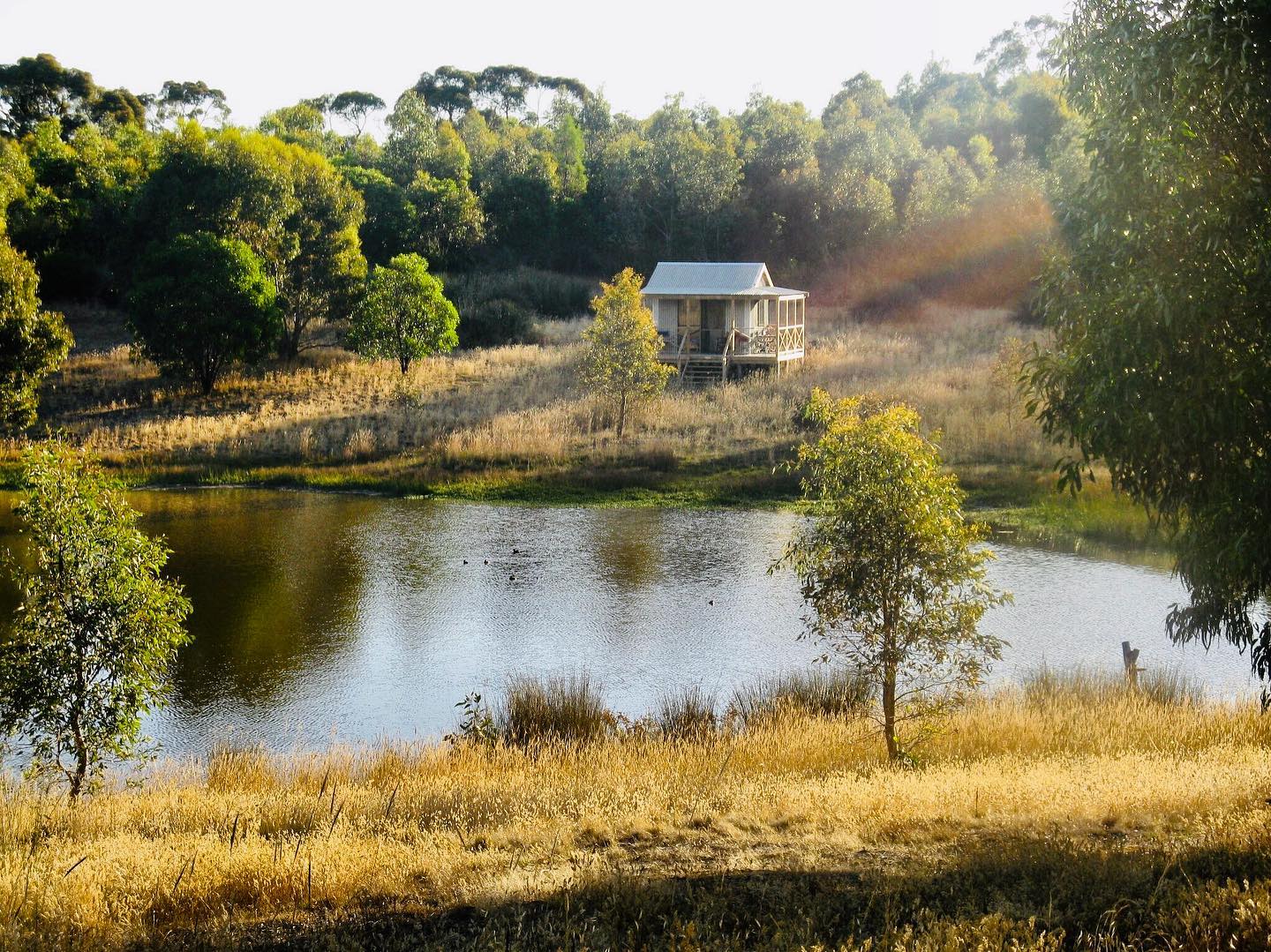 Where the wild things are at Barossa’s Wings Retreat