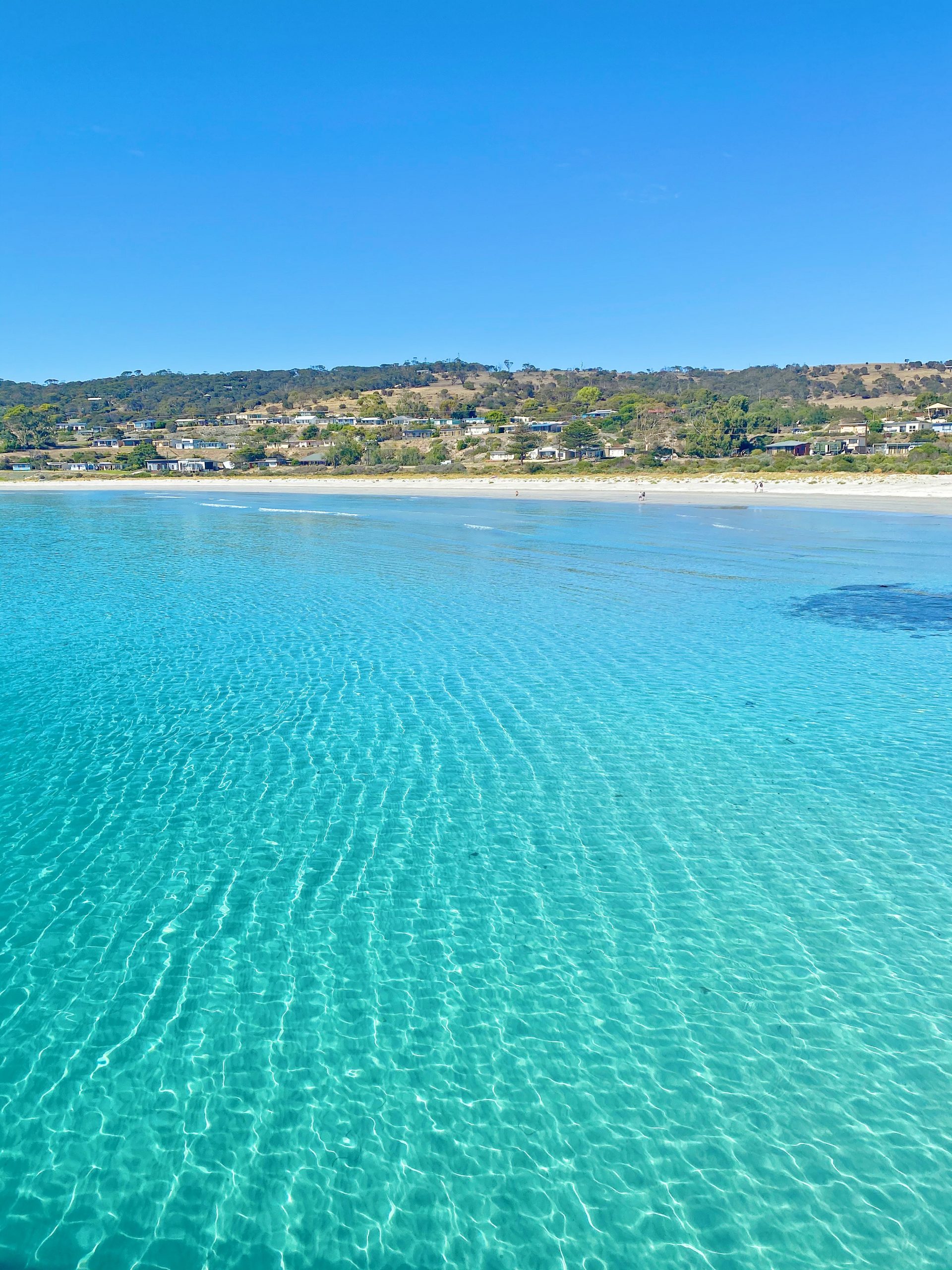 Sip and See Kangaroo Island with a once-in-a-lifetime experience!