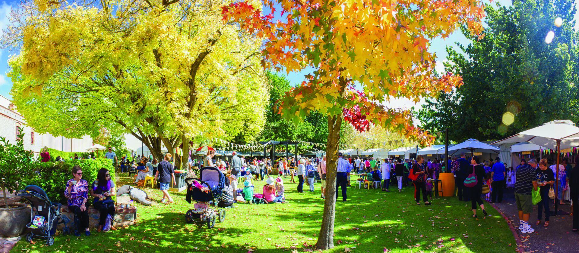 Barossa Vintage Festival — a great excuse to celebrate