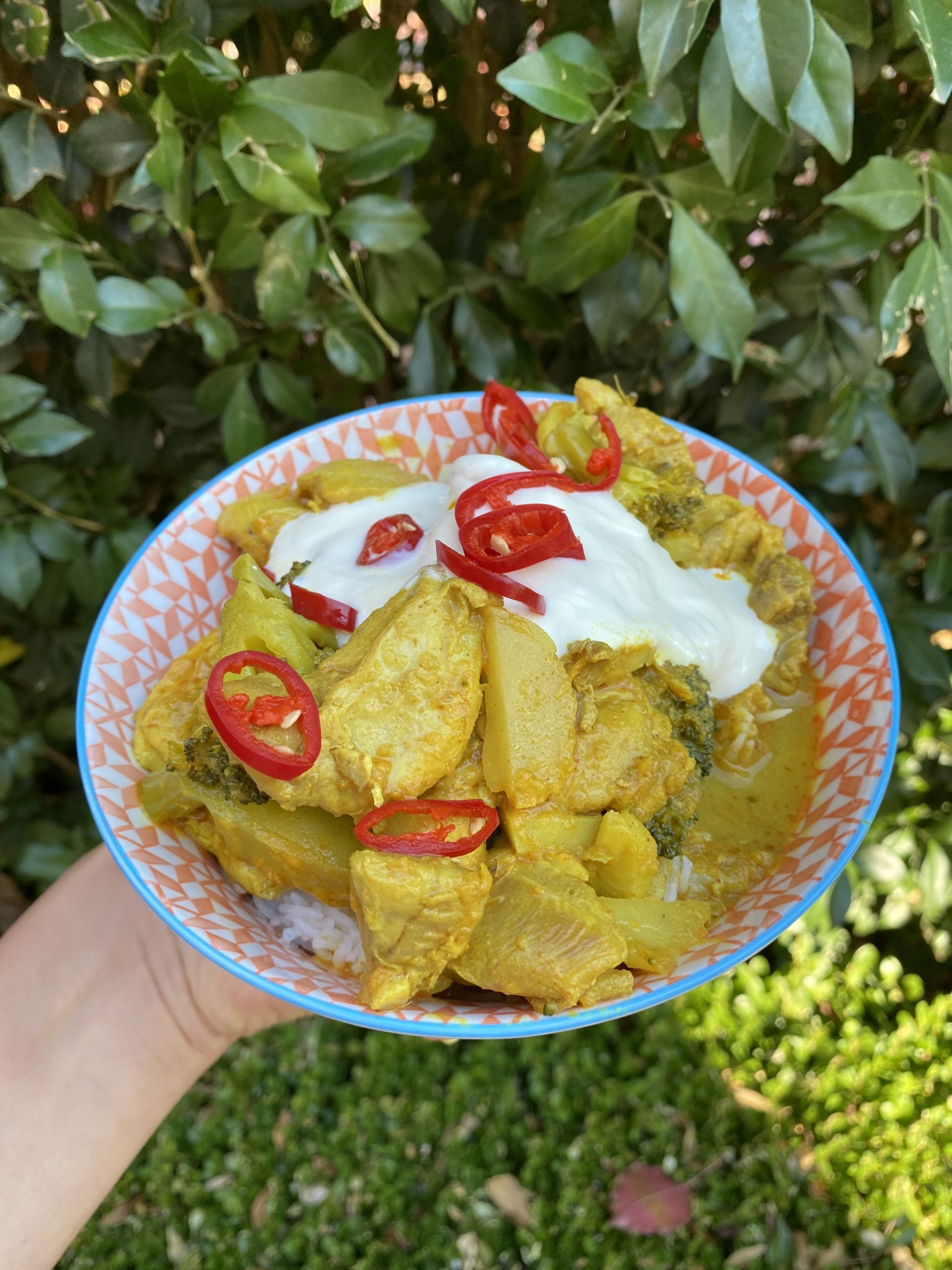 Recipe :: Turmeric & Coconut Curry (GF and DF)