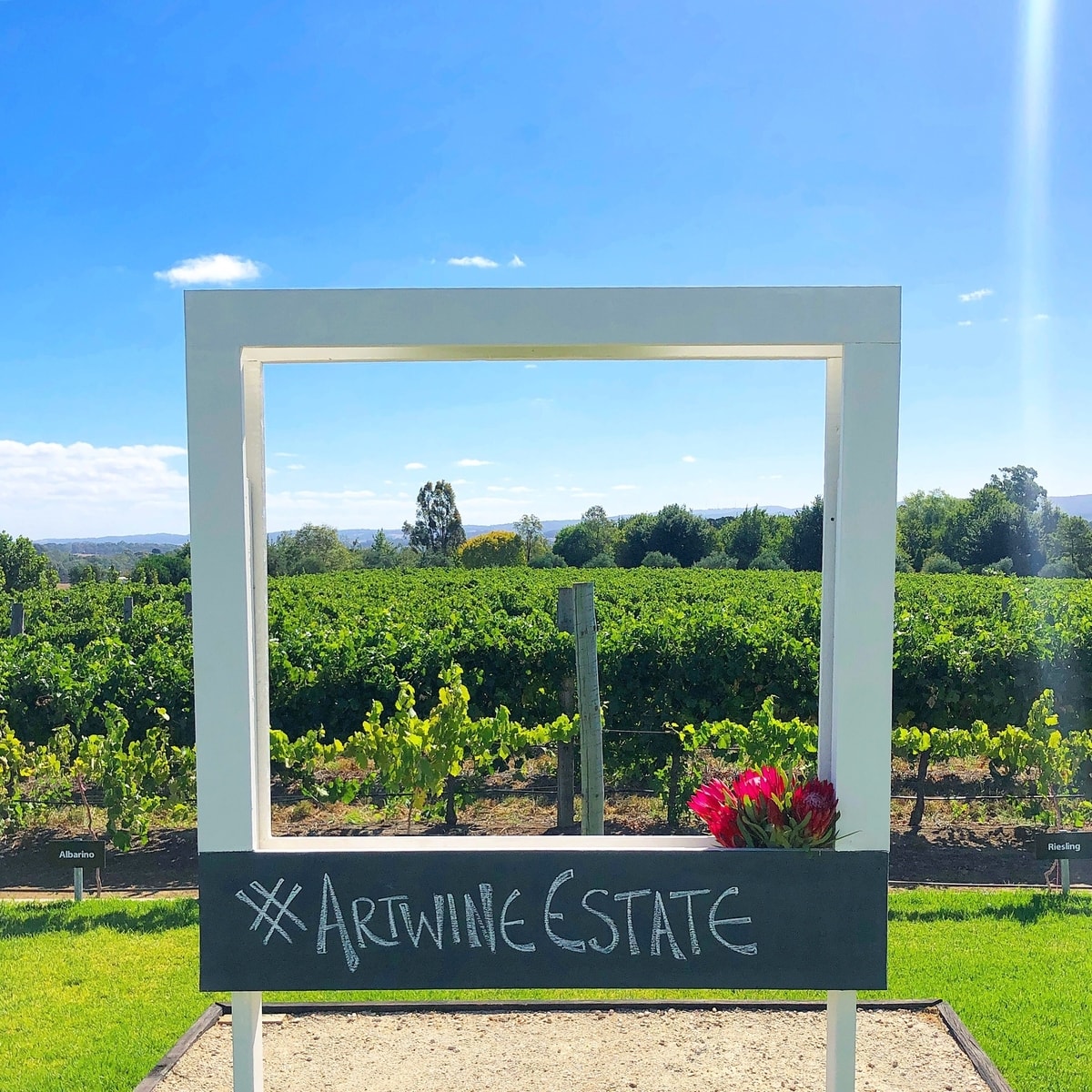 Kid-friendly wineries and cellar doors in the Adelaide Hills