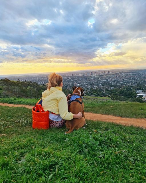 Top Free Walks You and Your Pooch will Love in SA