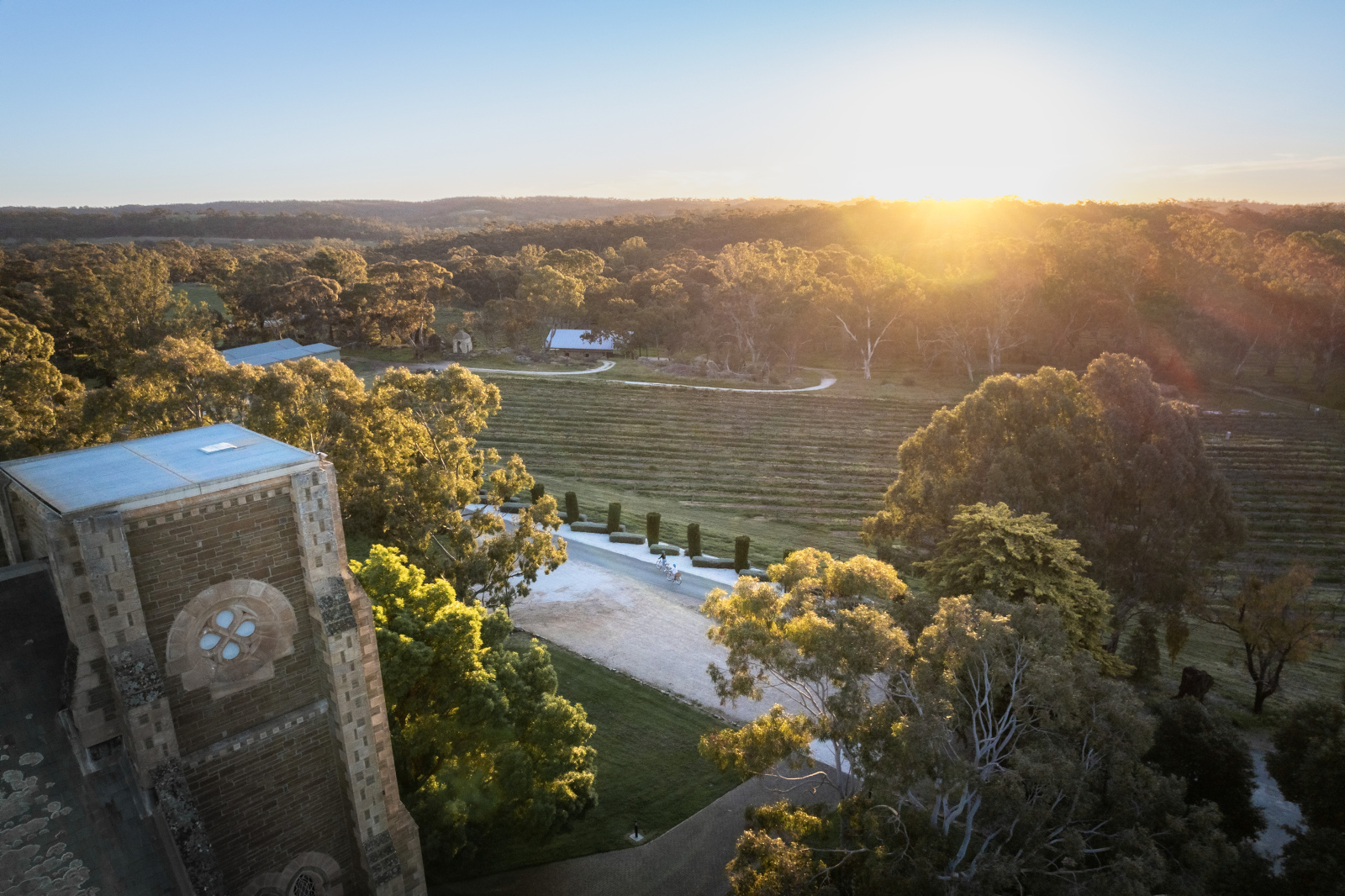 How to get the most out of the Clare Valley
