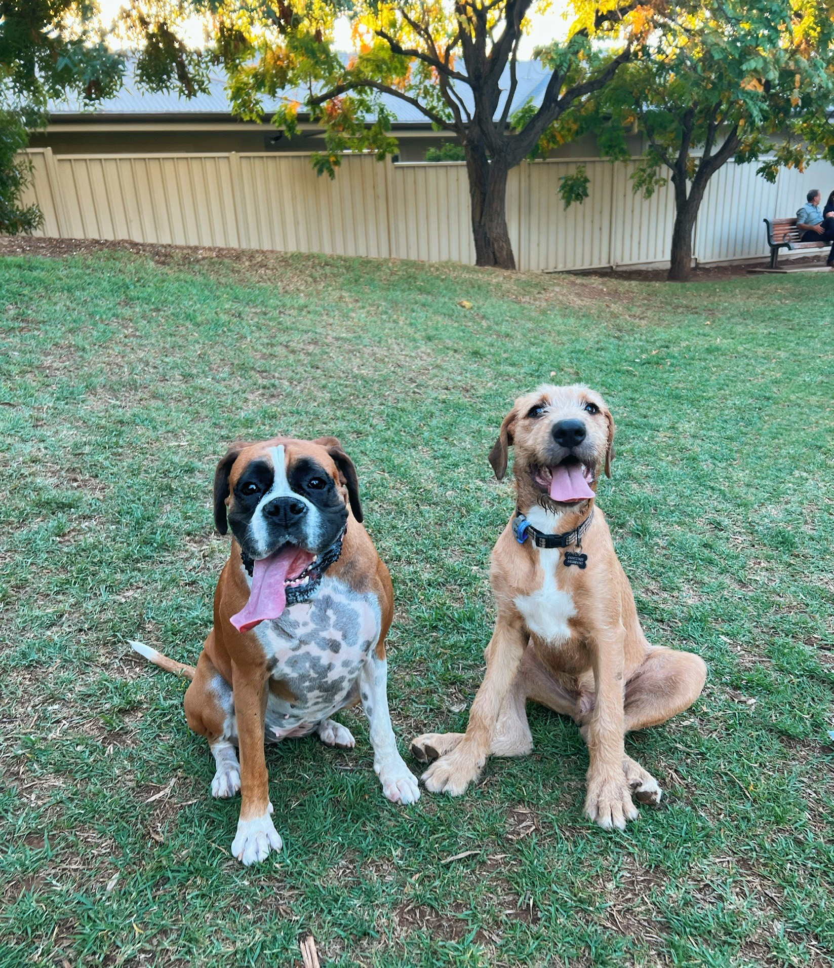 150 dog-friendly cafes, restaurants, wineries and markets around Adelaide and beyond! 