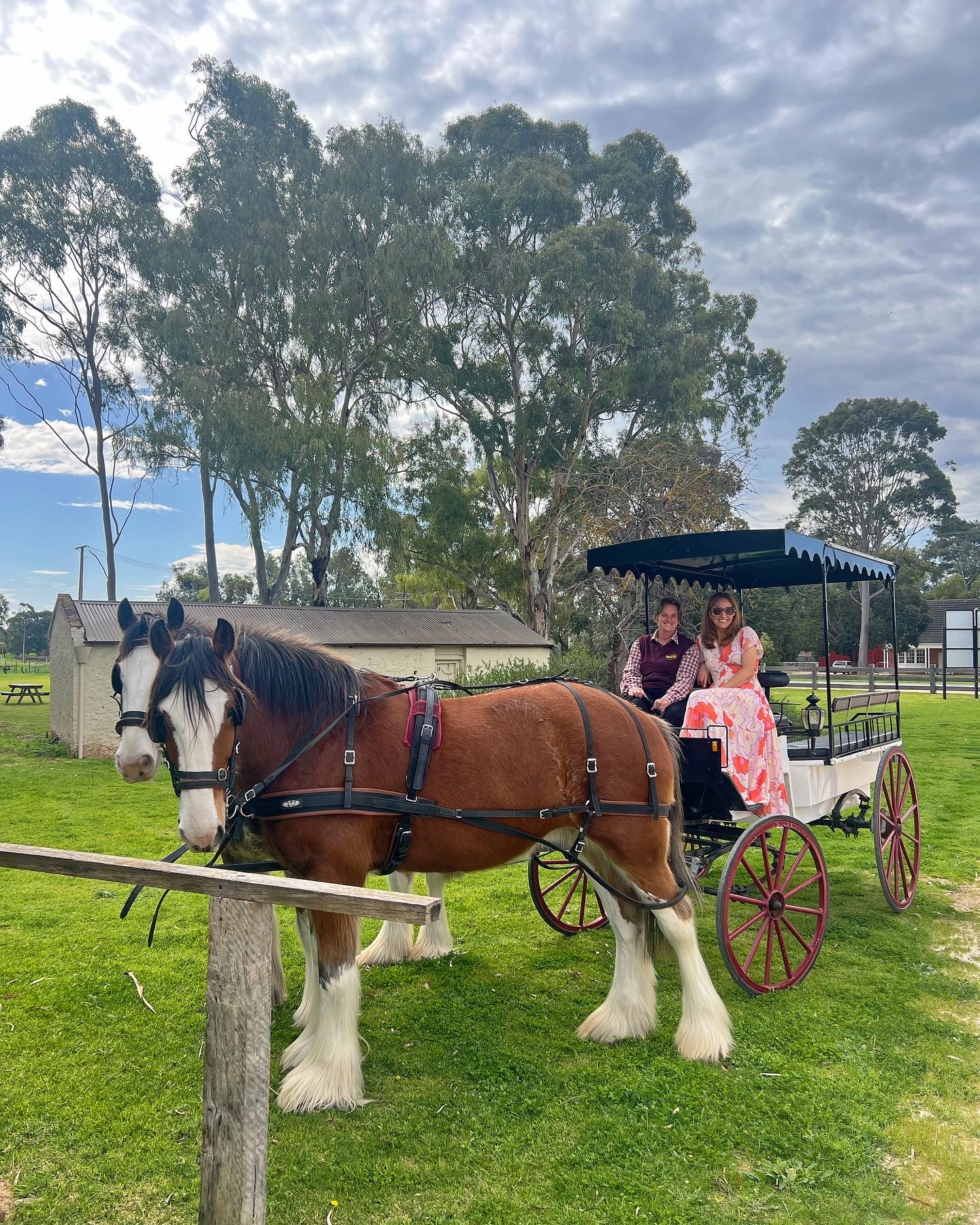 WIN a Carriage of Occasion Horse Drawn Wine Tour For 6 people !