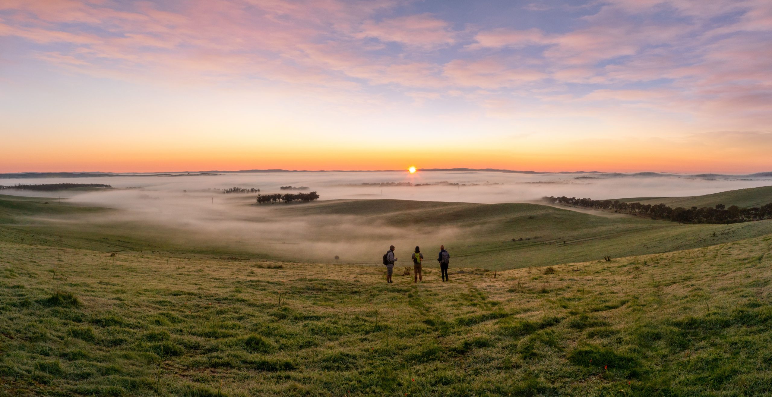 Re-discover Clare Valley