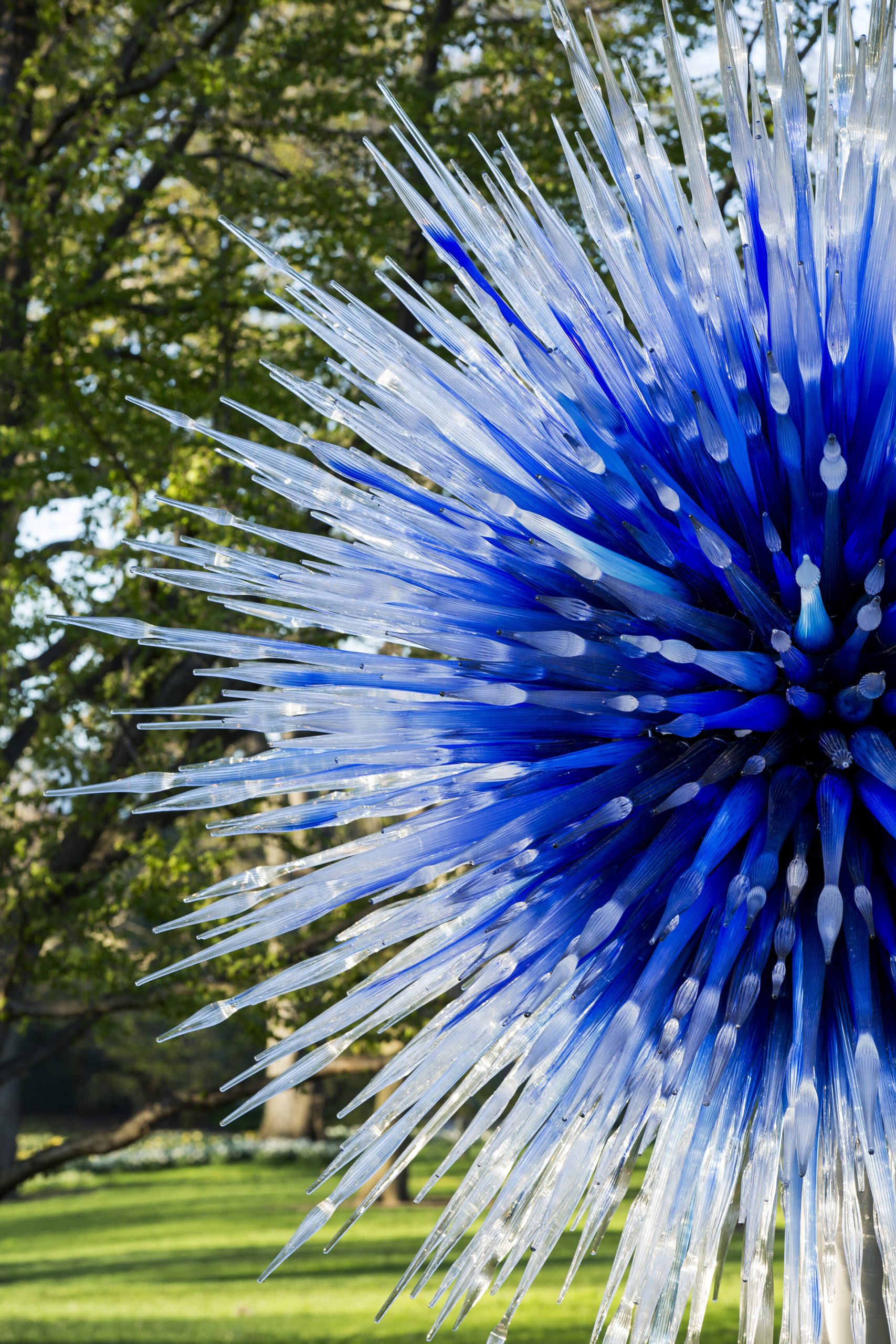 Hello SA Deal of the Week | IN FULL COLOUR: DALE CHIHULY